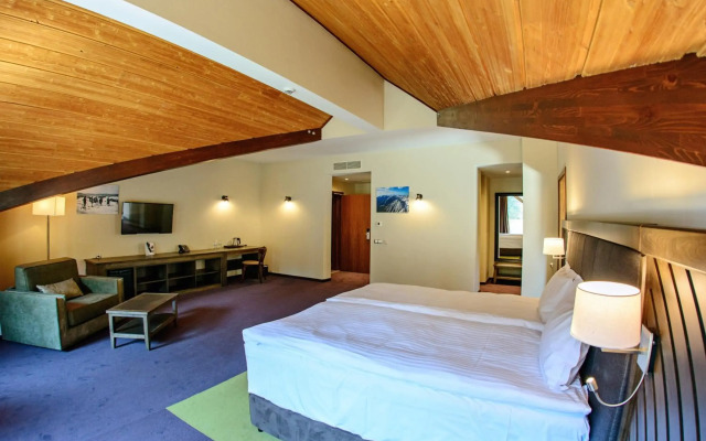Hot Springs Medical and Spa Hotel