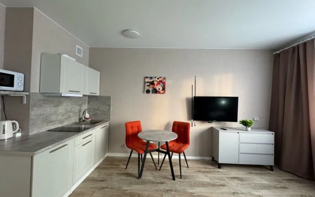 Апартаменты ДеньНочь на ул. Петра Подзолкова д. 24