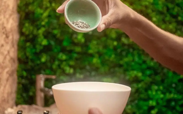 Soho Boutique Holbox - Adults Only