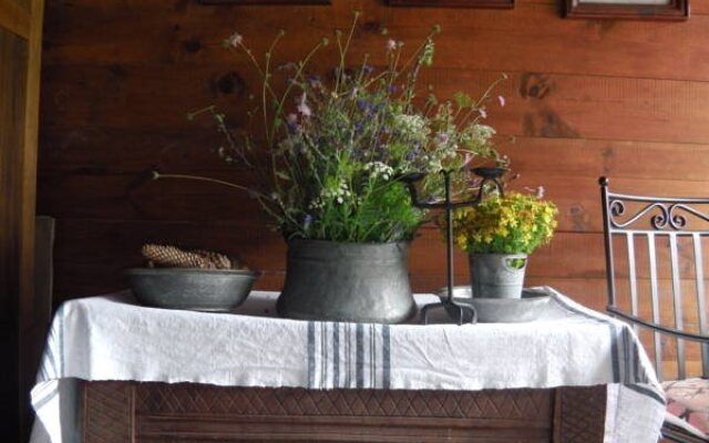 Darina Guest house