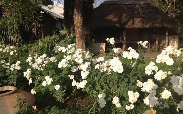 Aloegrove Safari Lodge