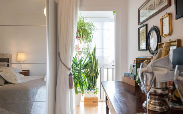 Orchidea Home