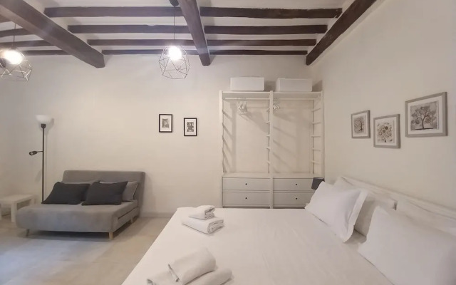 Pinzochere 16 N in Firenze