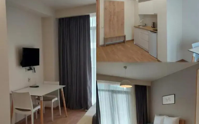 Bakuriani apartment M25 (517)