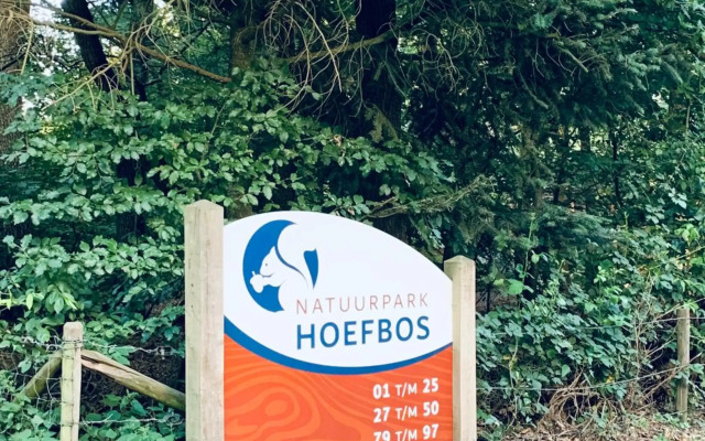 De Spitse Egel: ontdek de pareltjes in de natuur!