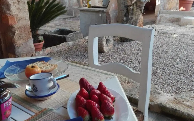 ca sa tia