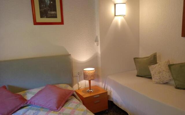 Doree 331