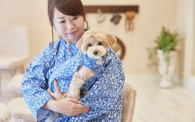 Le Chien Kyuu Karuizawa