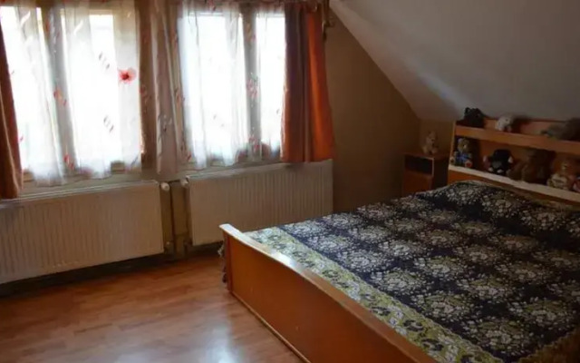 Pension Dor de Bucovina