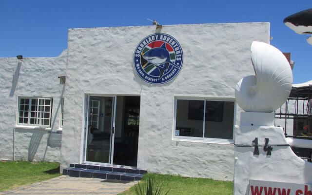 Whale Watch Accommodation