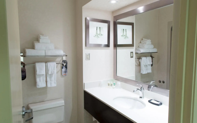 Holiday Inn & Suites Windsor Ambassador Bridge by IHG
