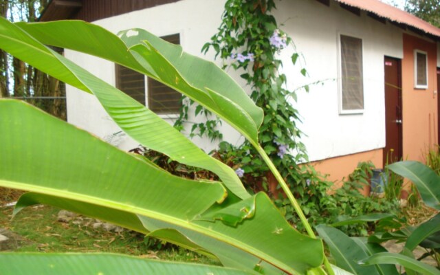 Negril Yoga Centre