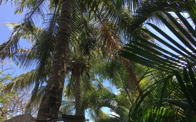 Oceane Paradise Bungalow