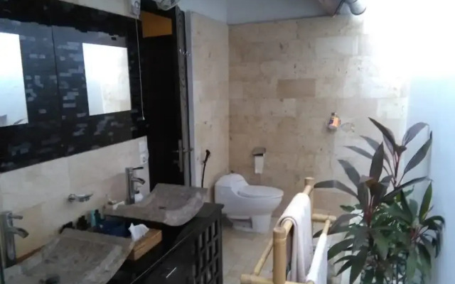 Fengshui Villa