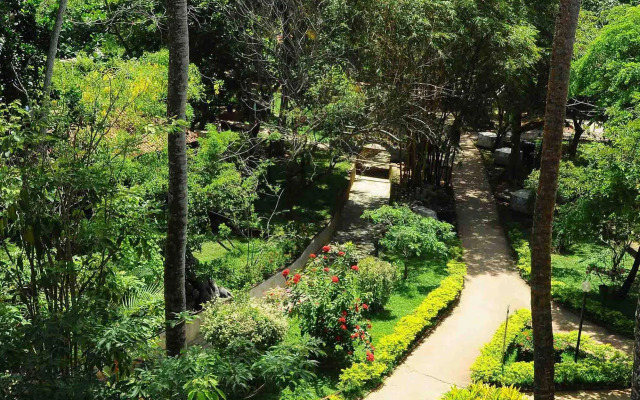 Siddhalepa Ayurveda Resort - All Meals, Ayurveda Treatment, Yoga
