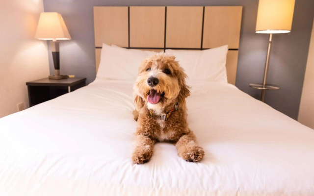 Sonesta Simply Suites Irvine Spectrum
