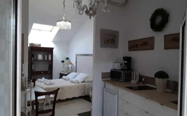 Estudio Fabiola Centro 12-Ma