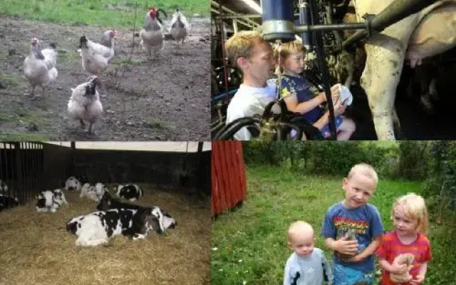 Hveddegaard Farm Holiday
