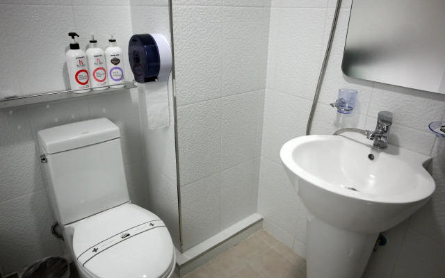 Ekonomy Hotel Myeongdong premier
