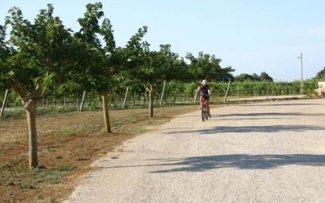 Tenuta Vigna Corallo