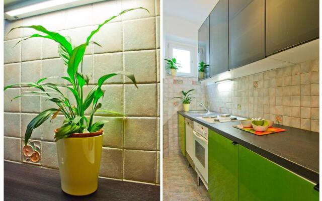 Apartment Lemon Tree