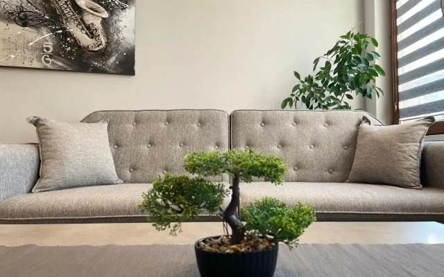 Shushi's Central Studio Apartment