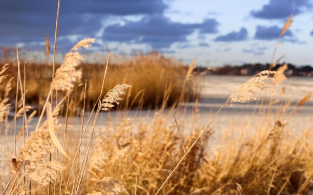 Amazing Home in Grzybowo With Wifi and 2 Bedrooms