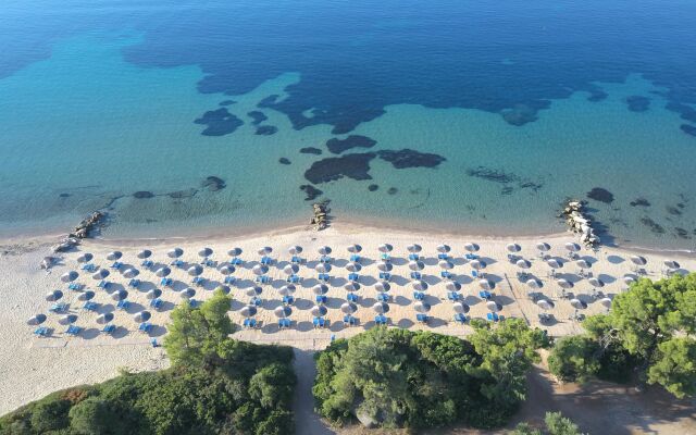 Blue Dolphin Hotel