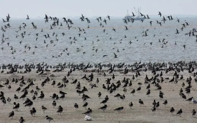 Hotel Brasserie Om de Noord