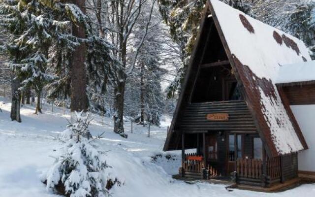 Centrul De Echitatie Poiana Brasov