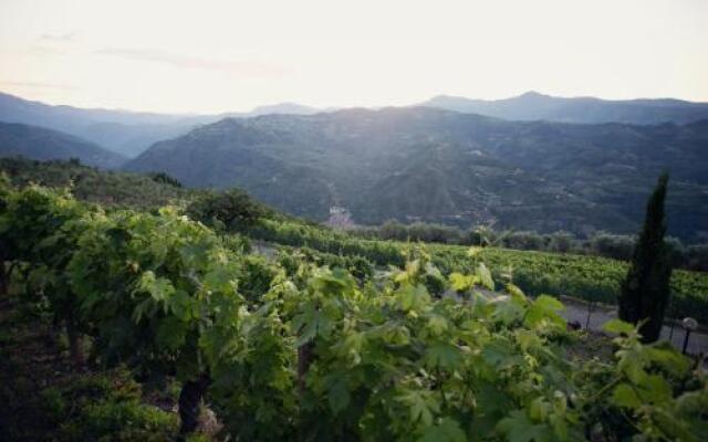 Terre Bianche Agriturismo