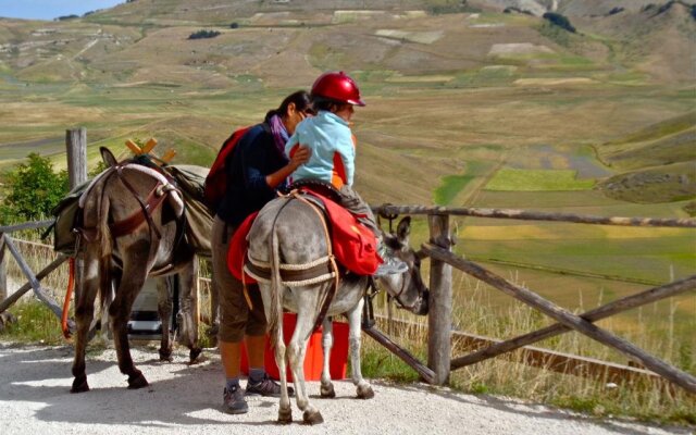 Agriturismo La Valle Delle Aquile