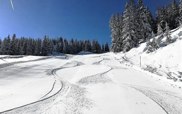 Pension Posauner Dorfgastein