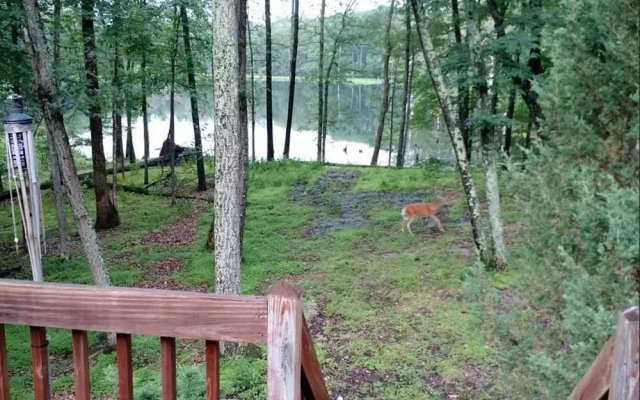 The Spice of the Poconosemai