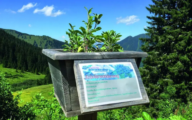 JUFA Hotel Donnersbachwald