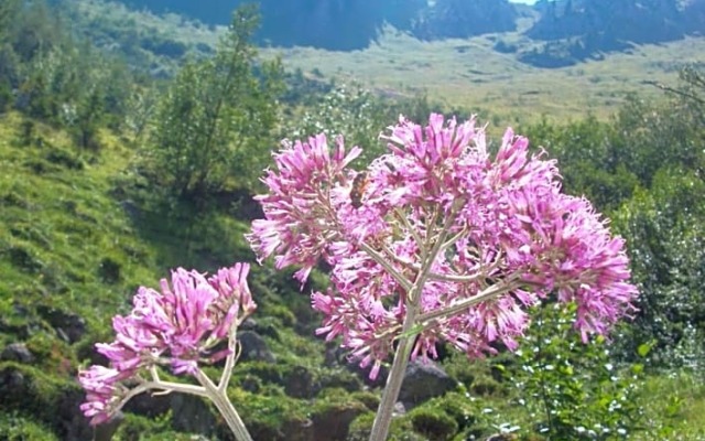 B&B Les Rochers 42 lits