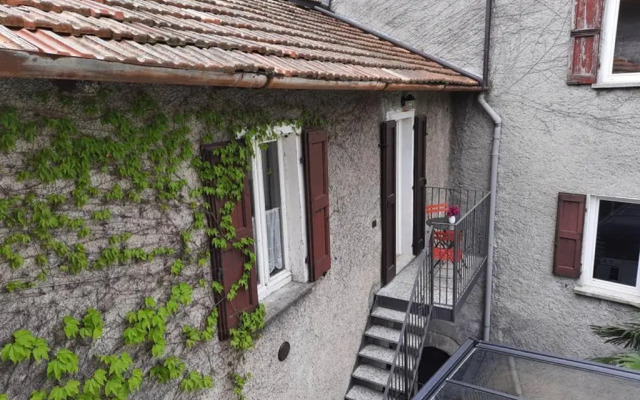 The Ivy House in the Castle