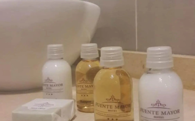 Fuente Mayor Hotel Ciudad de Mendoza