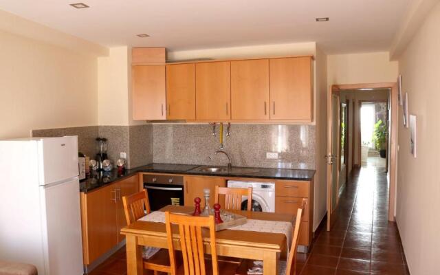 House With 2 Bedrooms in Lamego, With Furnished Terrace and Wifi