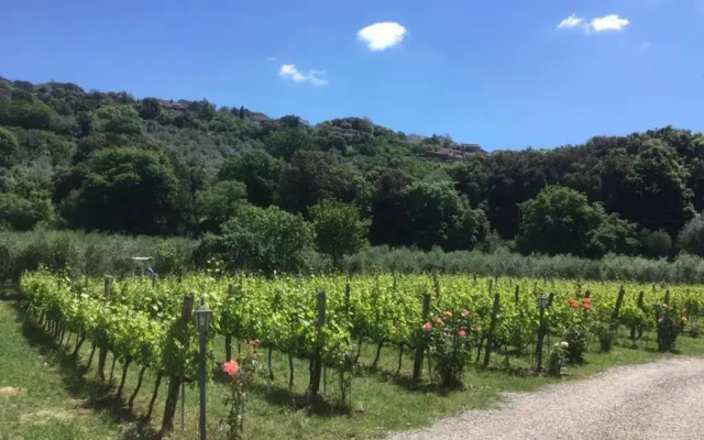 wine apartment le sedici