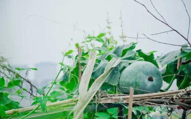 Housheng Youth Hostel