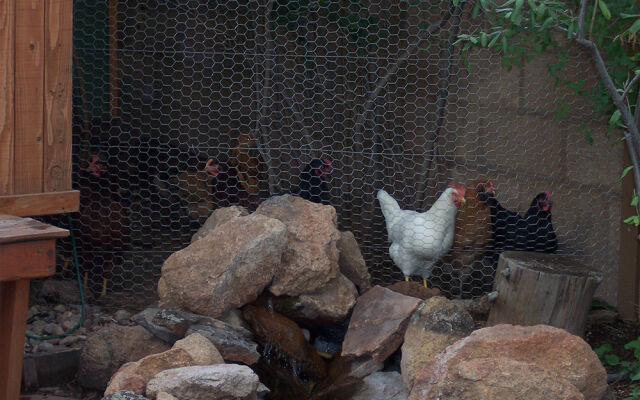 Elden Trails Bed and Breakfast