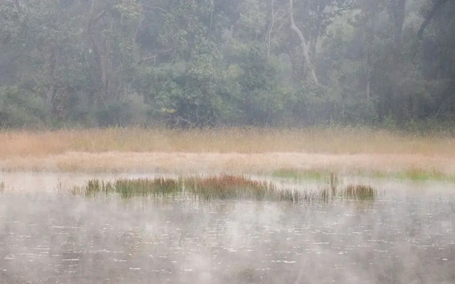 The Untamed Bandhavgarh by TUTC