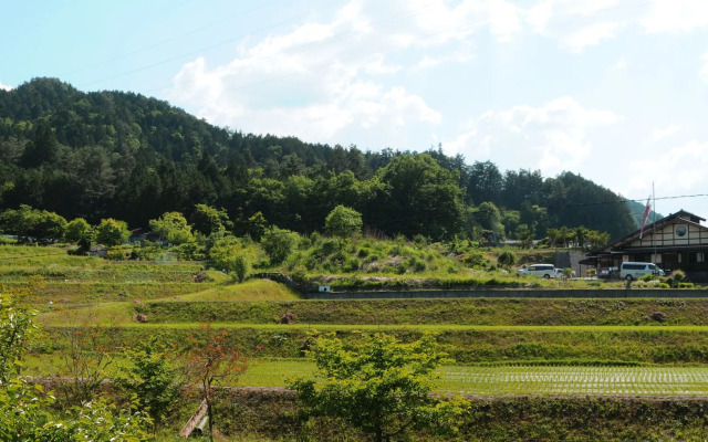 Sakura Guest House - Hostel