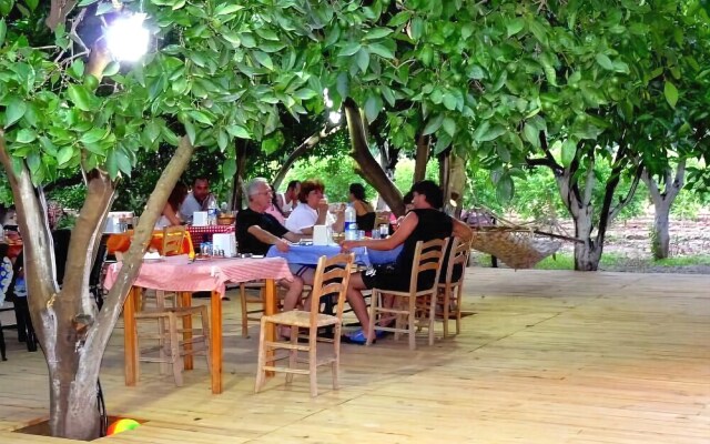 Portakal Bahcesi