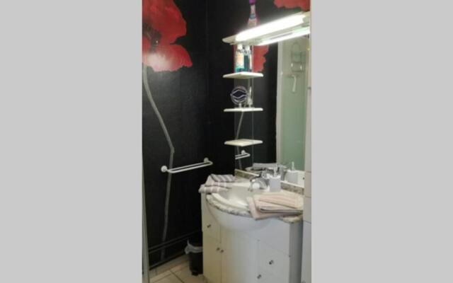 Charmant T2 face au Bassin du Midi