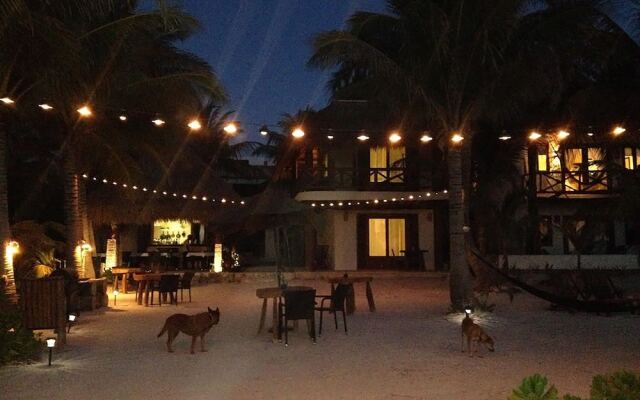 Casa Iguana Holbox