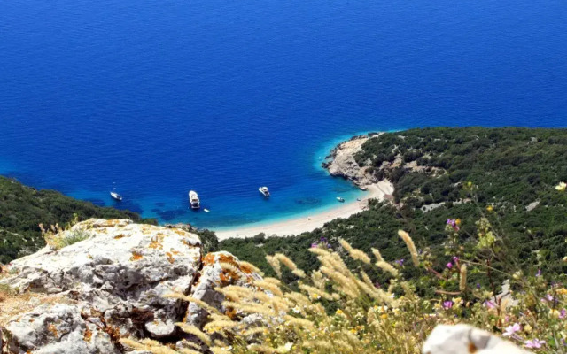 Apartments by the sea Valun, Cres - 8081
