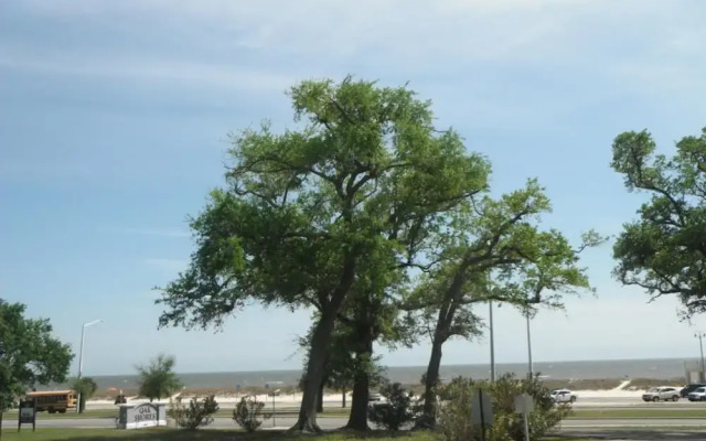 Oak Shores 115