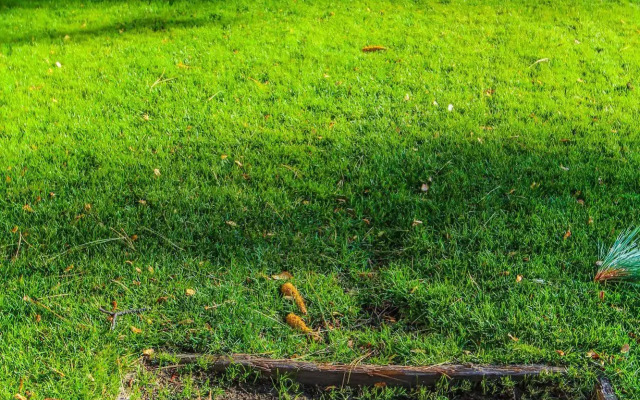 The Lodge at Lake Tahoe